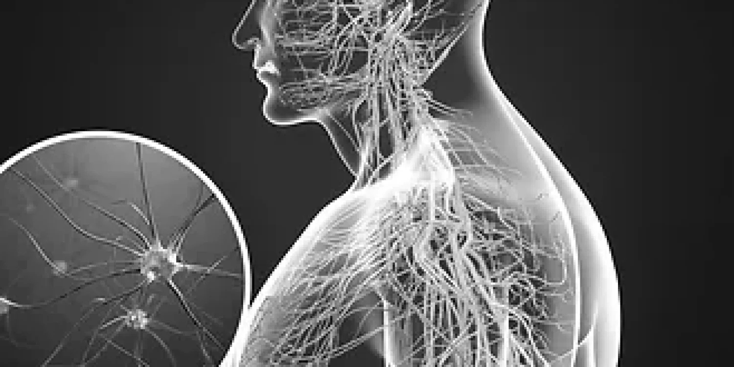 ccac1d_2e43a2a6625d4c9ea05a57ba4fdaa0ad~mv2